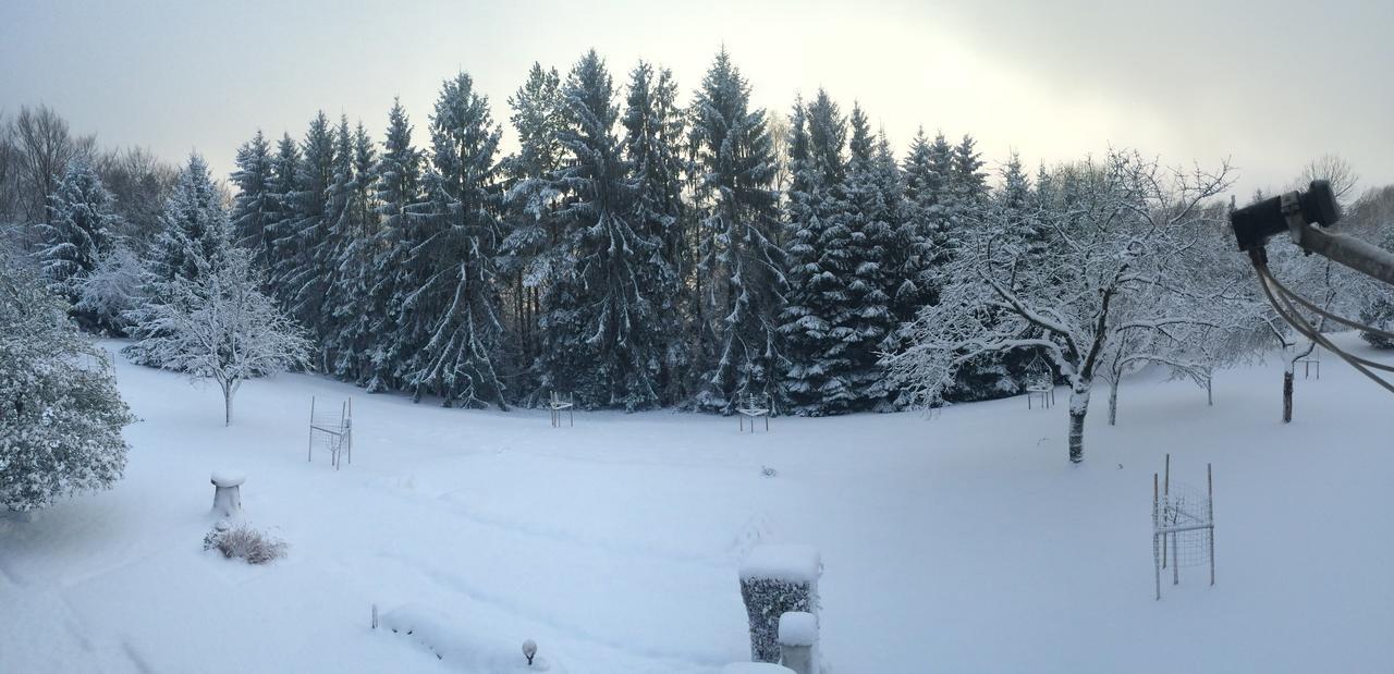 Gite Et Chambre D'Hotes La Petite Source Dabo Exterior photo